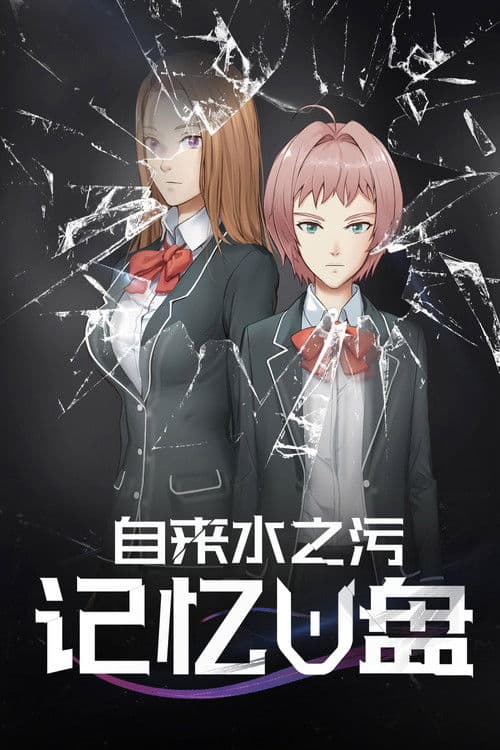 Poster for Memory Flash Drive