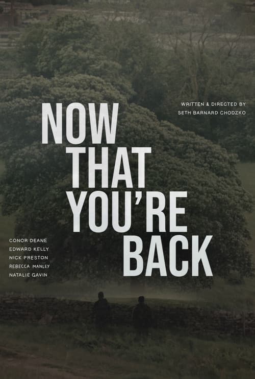 Poster for Now That You’re Back