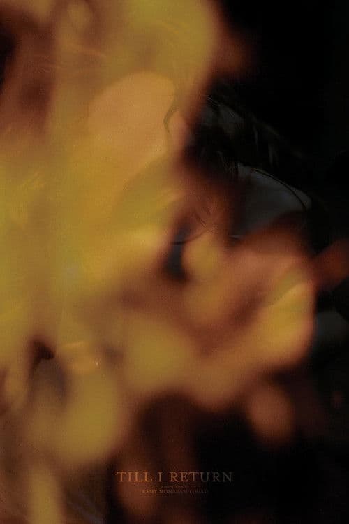 Poster for Till I Return