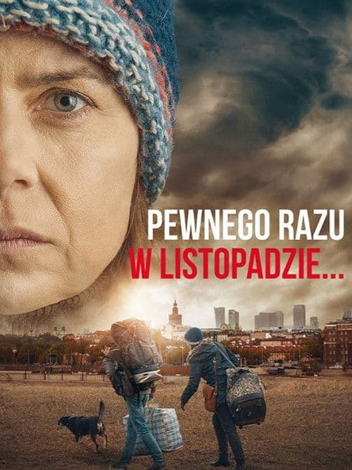 Poster for Once Upon a Time in November