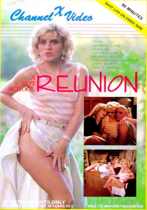 Poster for A Hot School Reunion