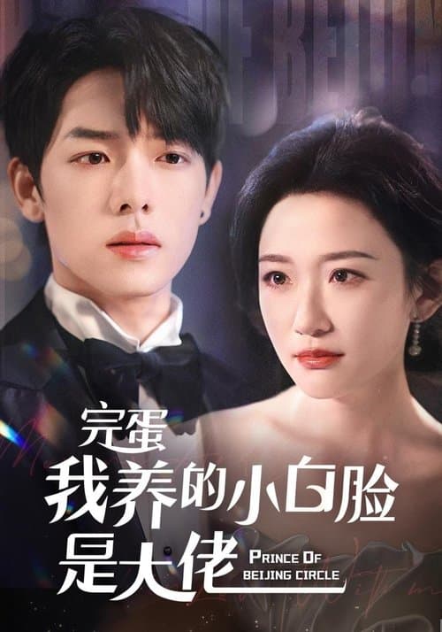 Poster for 完蛋我养的小白脸是大佬