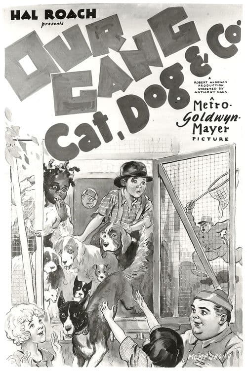 Poster for Cat, Dog & Co.