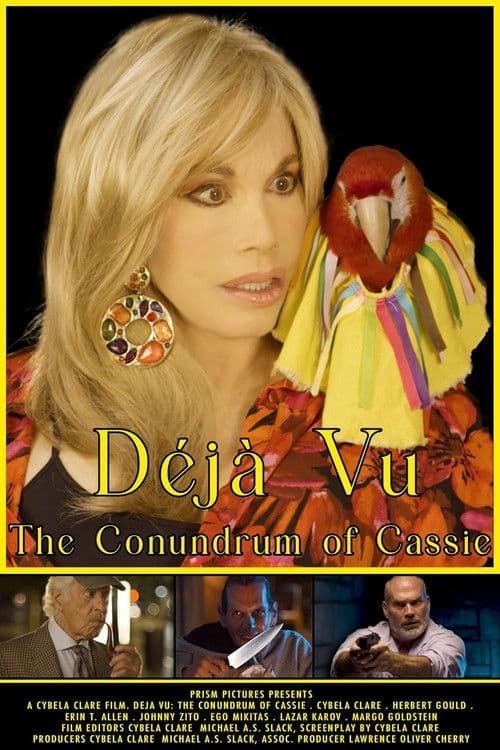 Poster for Déjà Vu: The Conundrum of Cassie