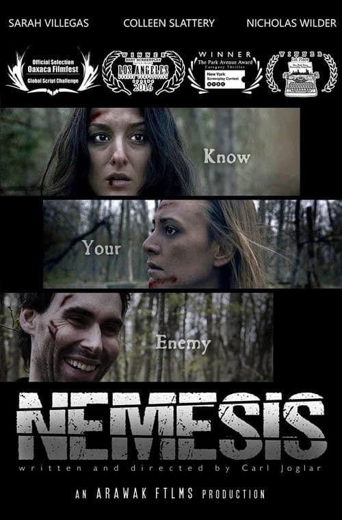 Poster for Nemesis