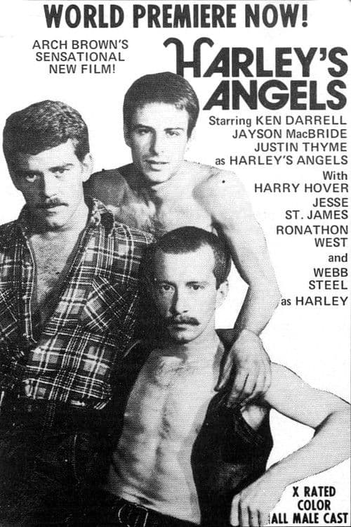 Poster for Harley's Angels
