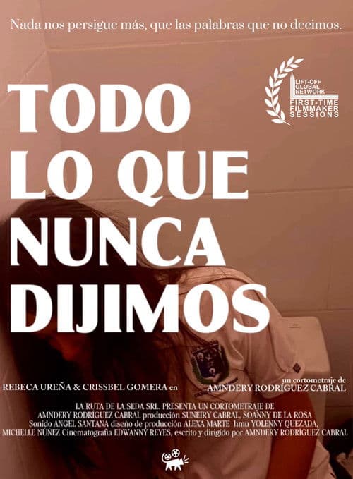 Poster for The Words We Never Said