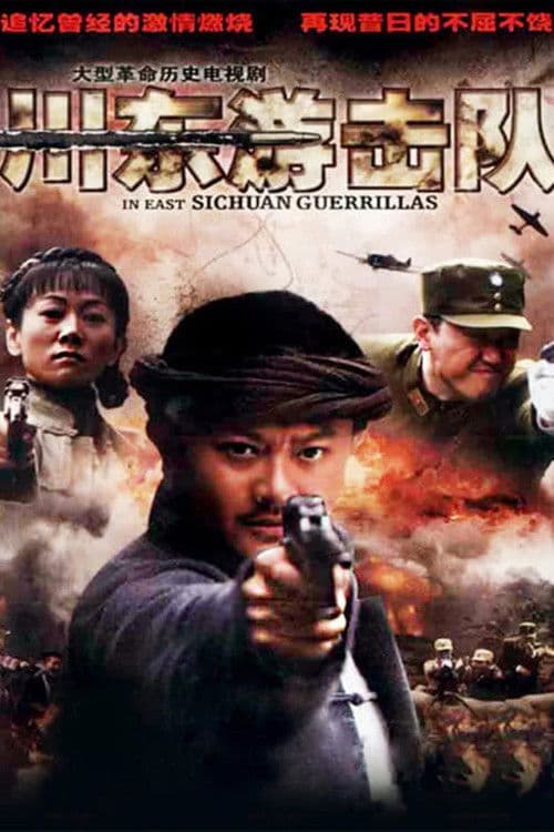 Poster for 川东游击队