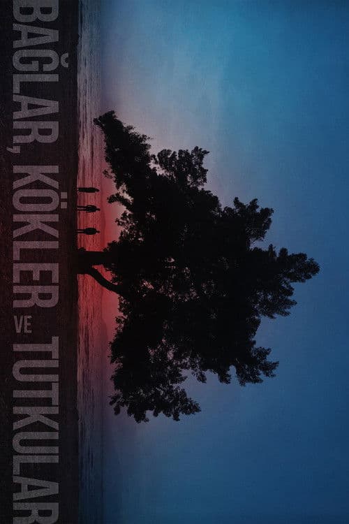 Poster for Bonds, Roots and Passions