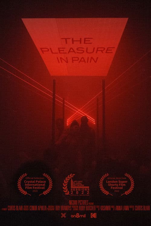 Poster for The Pleasure in Pain