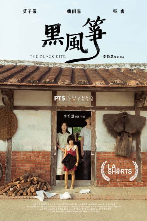 Poster for The Black Kite