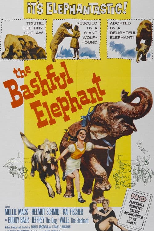 Poster for The Bashful Elephant