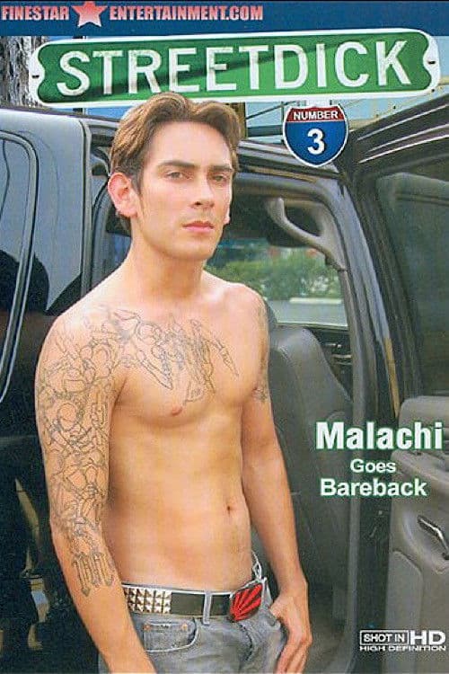 Poster for Street Dick 3