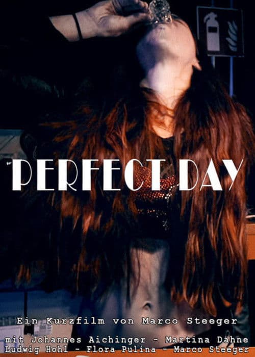 Poster for Perfect Day