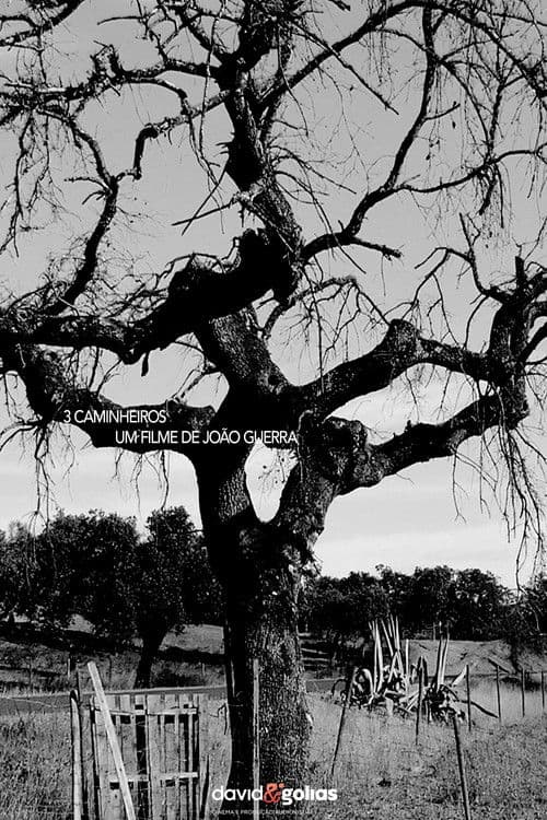 Poster for 3 Caminheiros