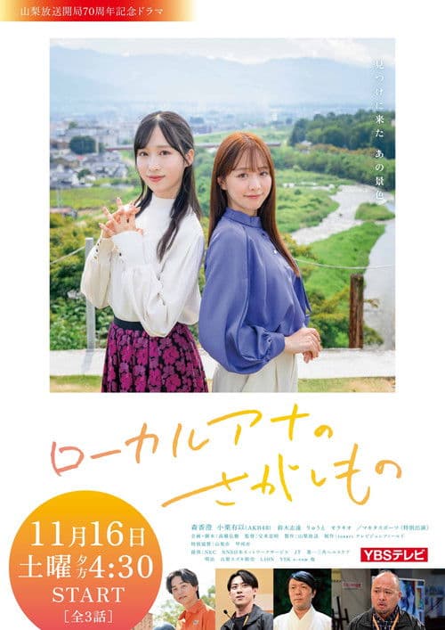 Poster for Local Announcer's Search