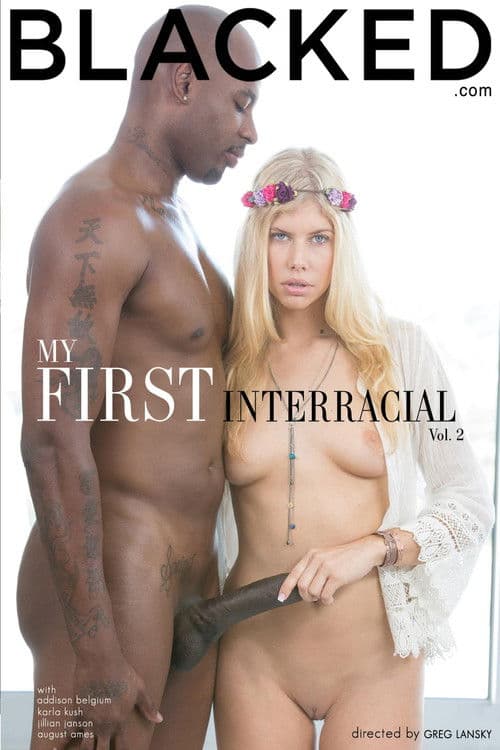 Poster for My First Interracial 2