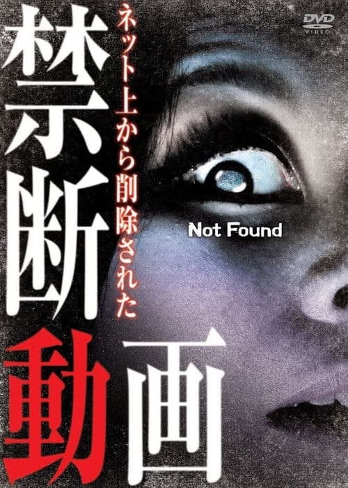 Poster for Not Found 1
