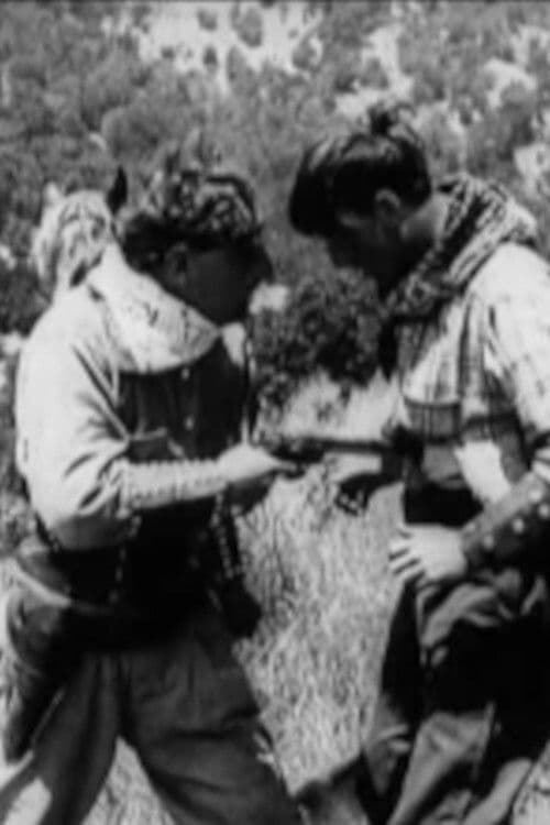 Poster for A Western Redemption