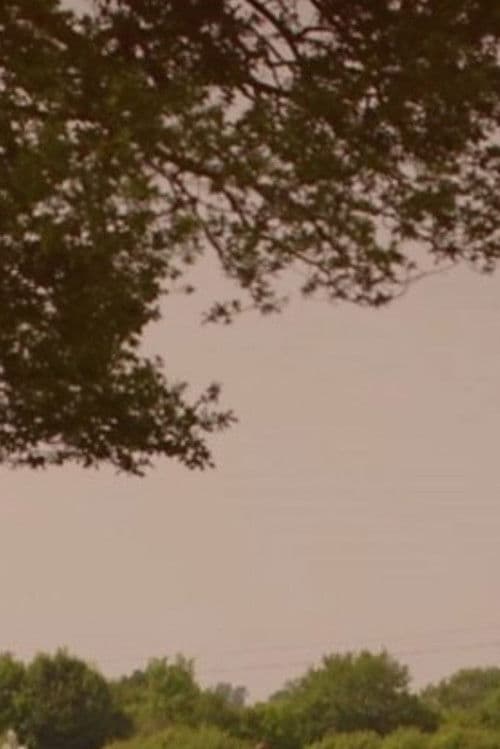 Poster for What's Killing Our Bees?