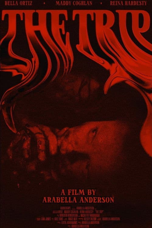 Poster for The Trip