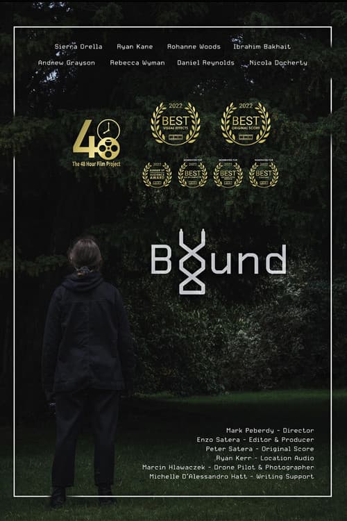Poster for Bound