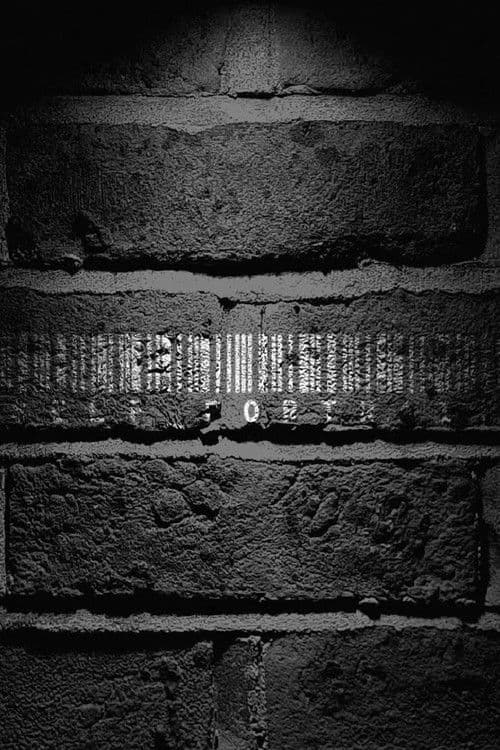 Poster for Self-Portrait