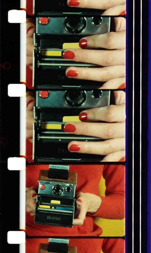 Poster for Forget Me Not