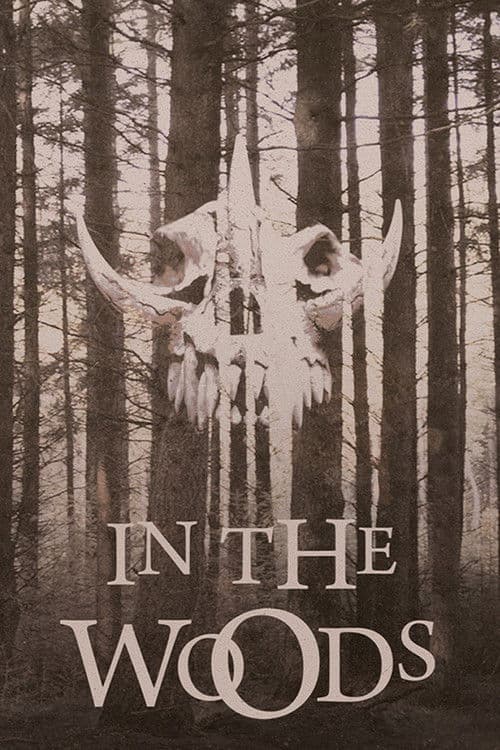 Poster for In the Woods