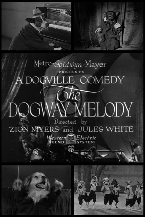Poster for The Dogway Melody