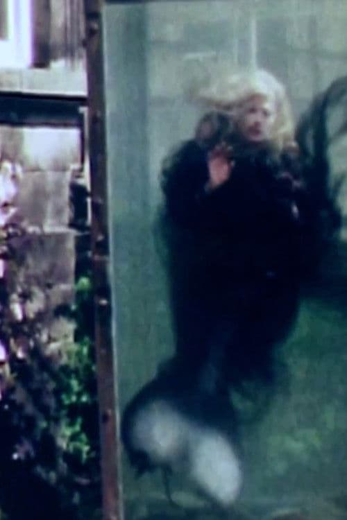 Poster for The Little Mermaid