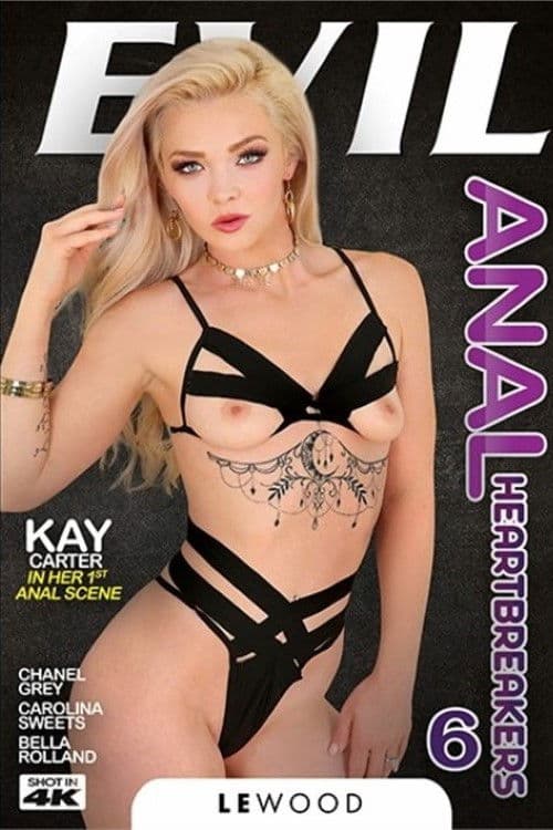 Poster for Anal Heartbreakers 6