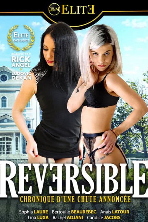 Poster for Reversible