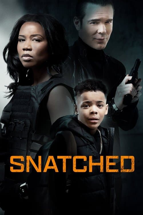 Poster for Snatched