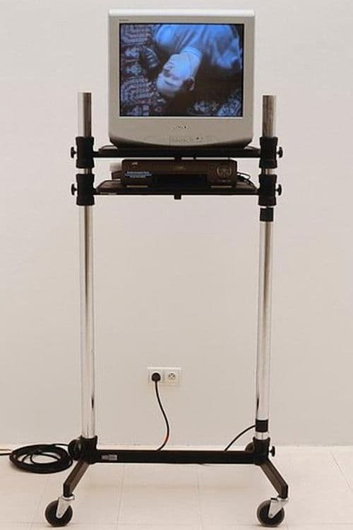 Poster for Douglas Gordon sings the best of Lou Reed & The Velvet Underground (For Bas Jan Ader)