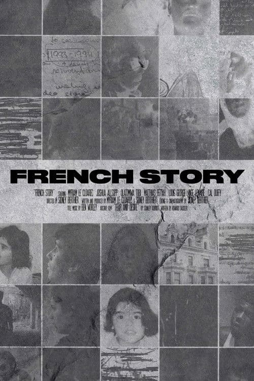 Poster for French Story
