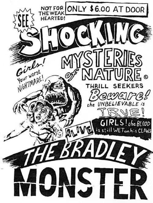 Poster for Basket Case 3-1/2: An Interview With Duane Bradley