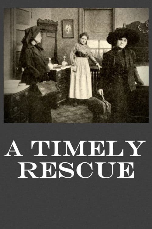 Poster for A Timely Rescue