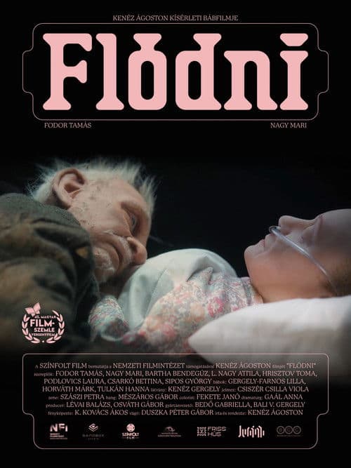 Poster for Flódni