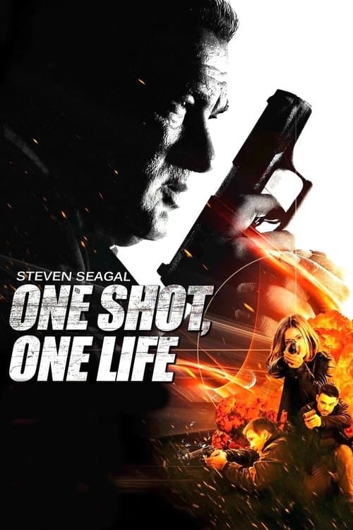 Poster for One Shot, One Life
