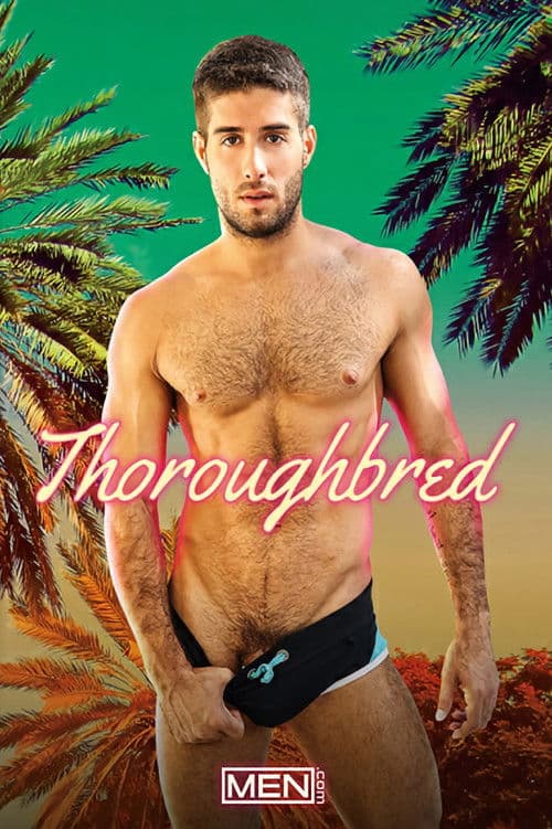 Poster for Thoroughbred