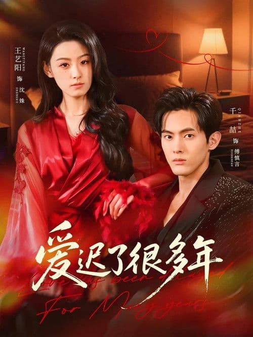 Poster for 爱迟了很多年