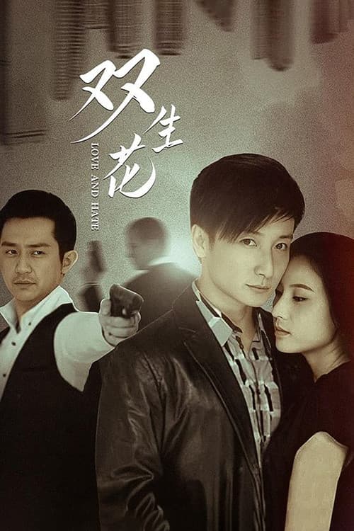 Poster for 双生花