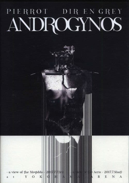 Poster for Androgynos
