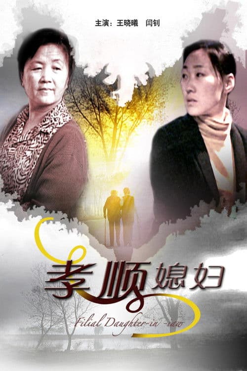 Poster for 孝顺媳妇