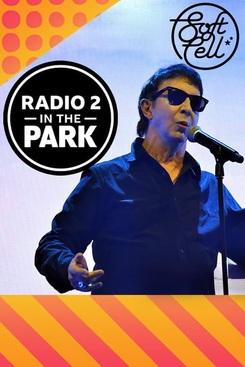 Poster for Soft Cell: Radio 2 in the Park