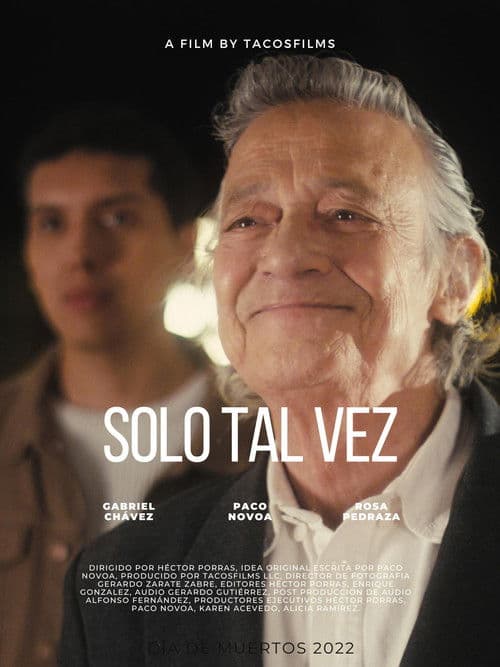 Poster for Just Maybe