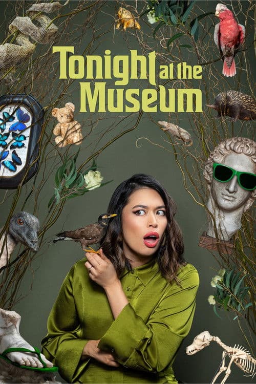 Poster for Tonight at the Museum