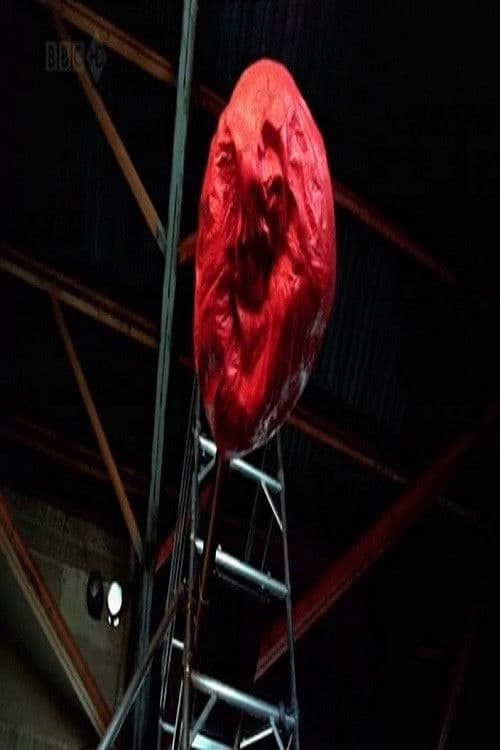 Similar title BBC Horizon: Is Everything We Know About The Universe Wrong?