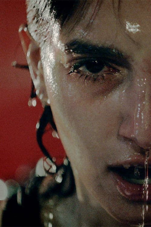 Poster for Domesticated